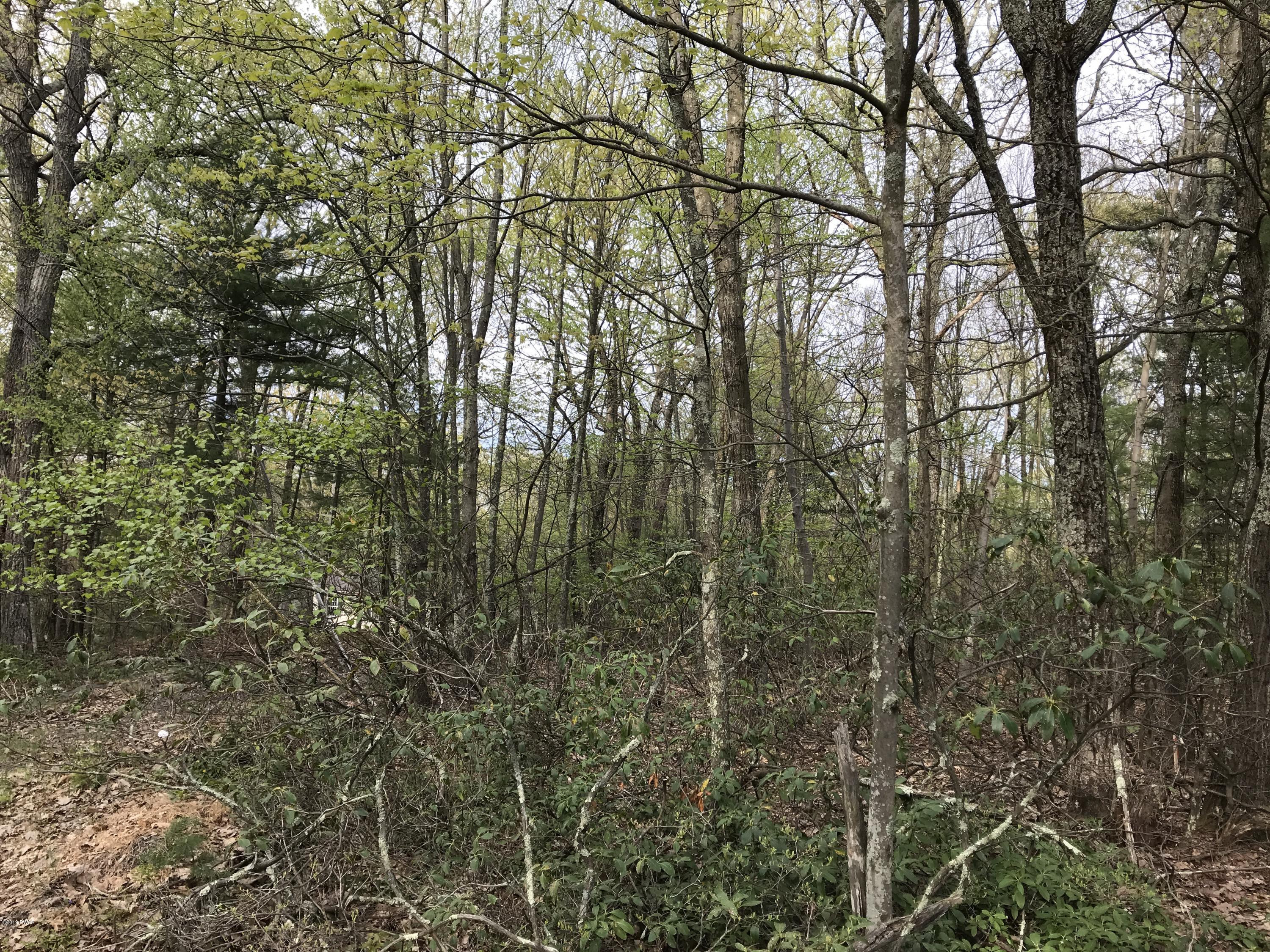 126 Nelson Road Milford, PA 18337 - Photo 7 of 8