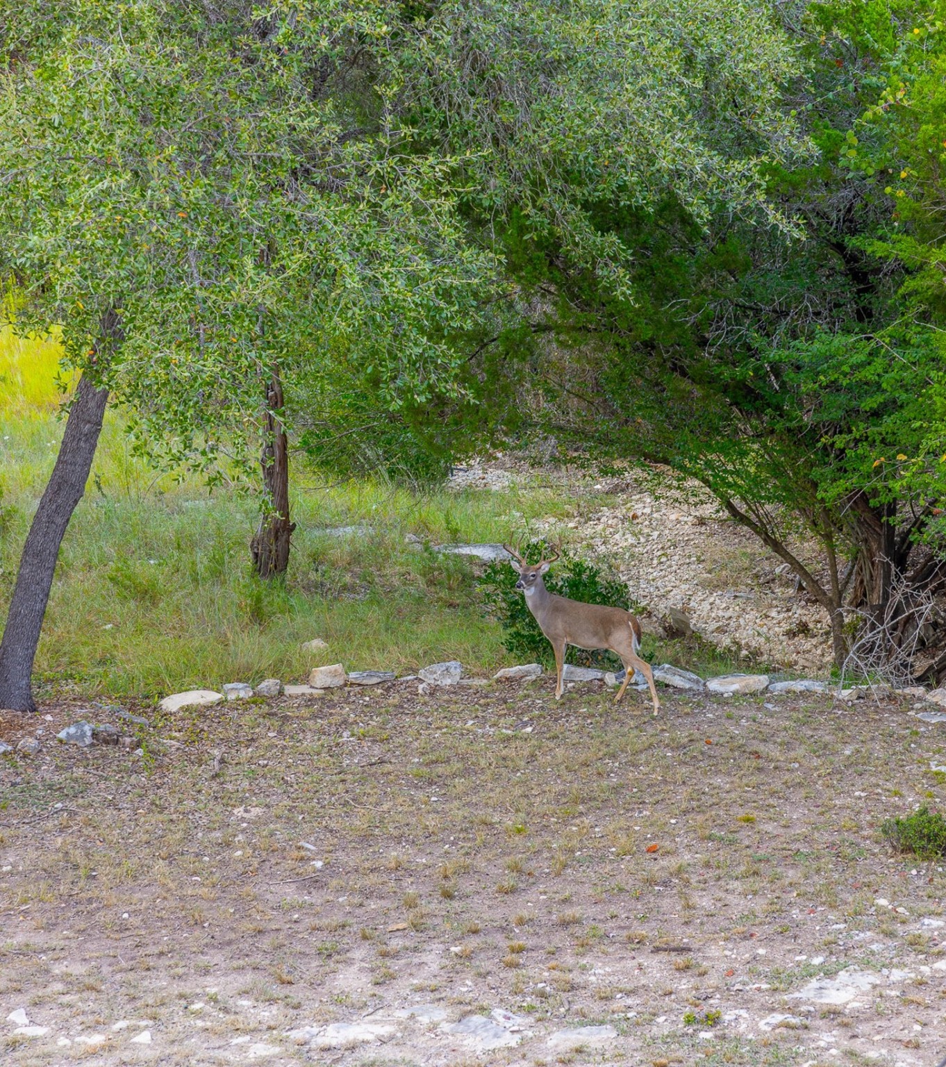 156 Lakefront Drive Point Venture, TX 78645 - Photo 28 of 37