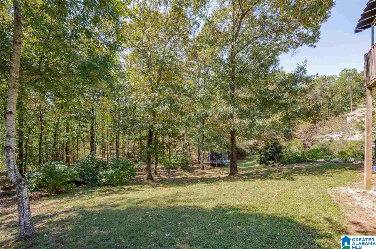214 Timber Ridge Circle Alabaster, AL 35007 - Photo 48 of 49