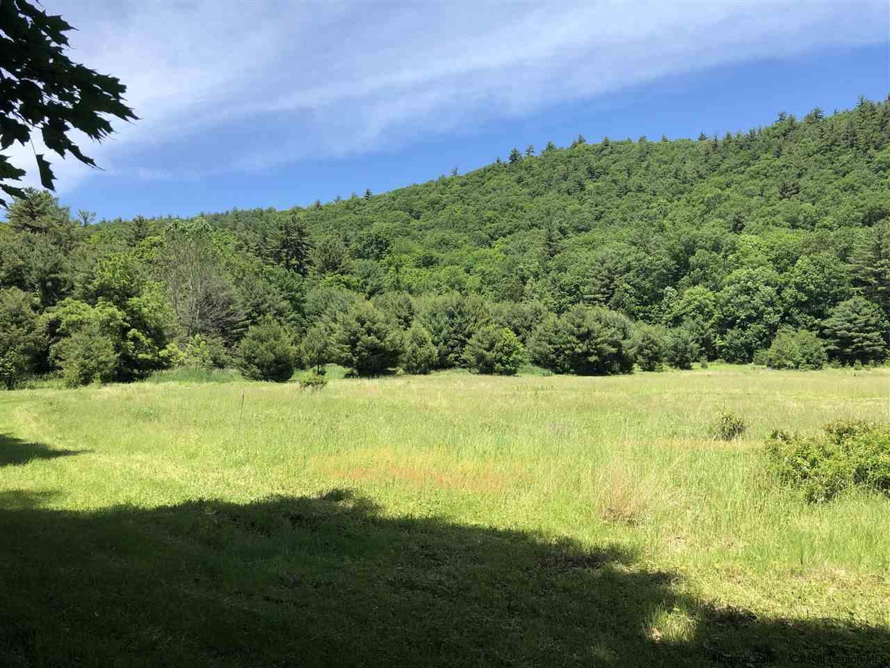 Tbd Tbd Tempaloni Rd Spring Spring Glen, NY 12483 - Photo 1 of 9 Photo 1