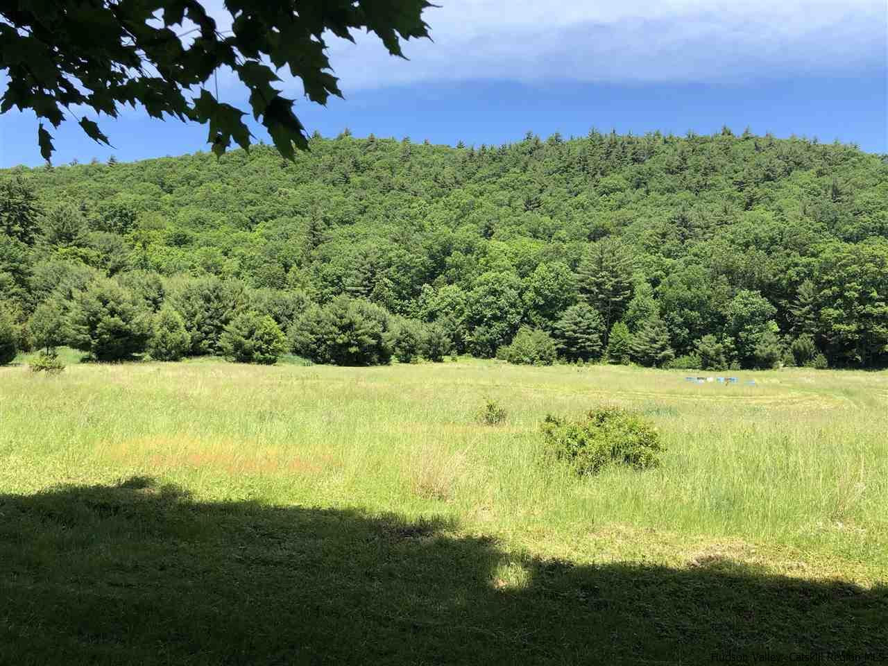 Tbd Tbd Tempaloni Rd Spring Spring Glen, NY 12483 - Photo 8 of 9 Photo 8