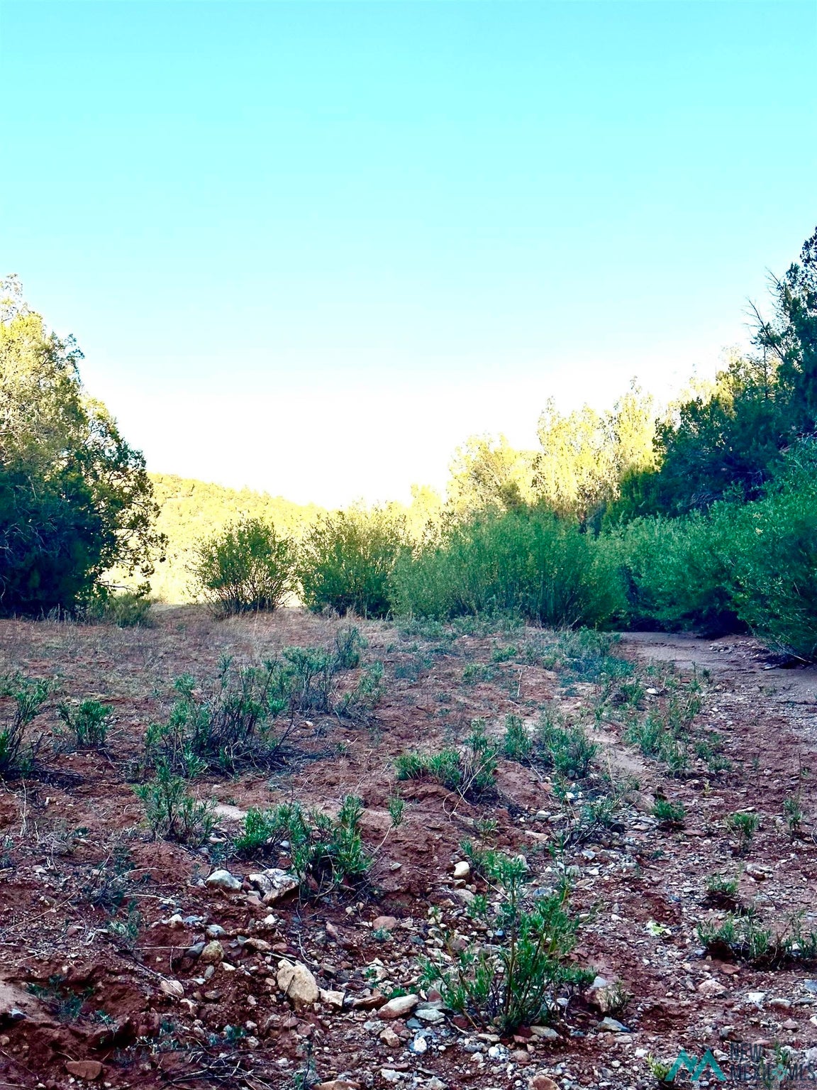 0 West Sena Ranch Road Serafina, NM 87569 - Photo 17 of 26 Gallery Image 17