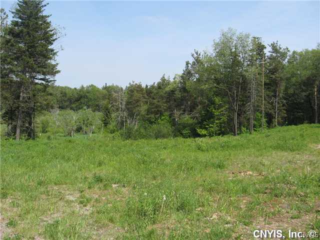 Xx Liberty Road Lowville, NY 13367 - Photo 1 of 1 Land