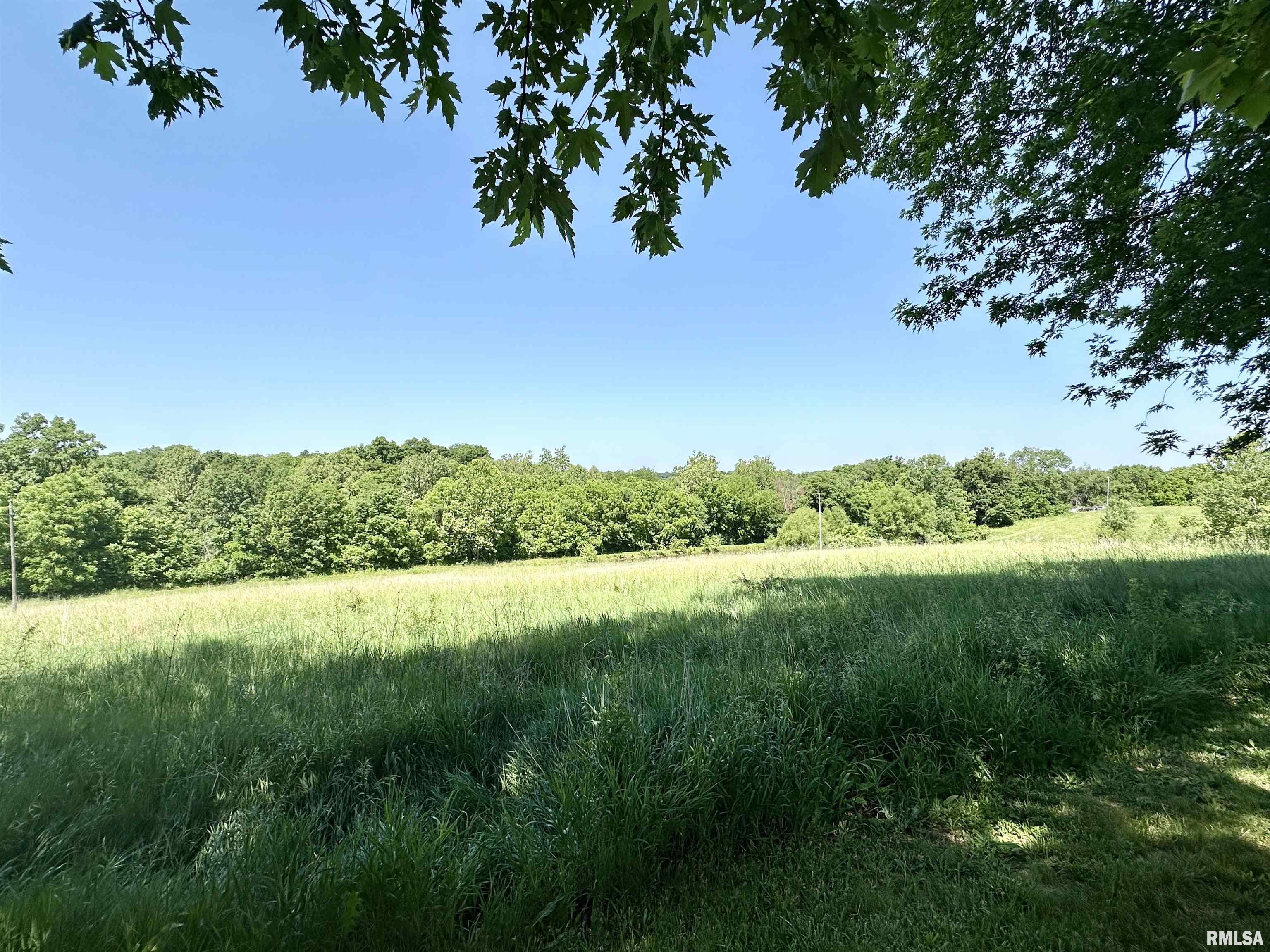 1311 McGlasson Road Jacksonville, IL 62650 - Photo 38 of 38
