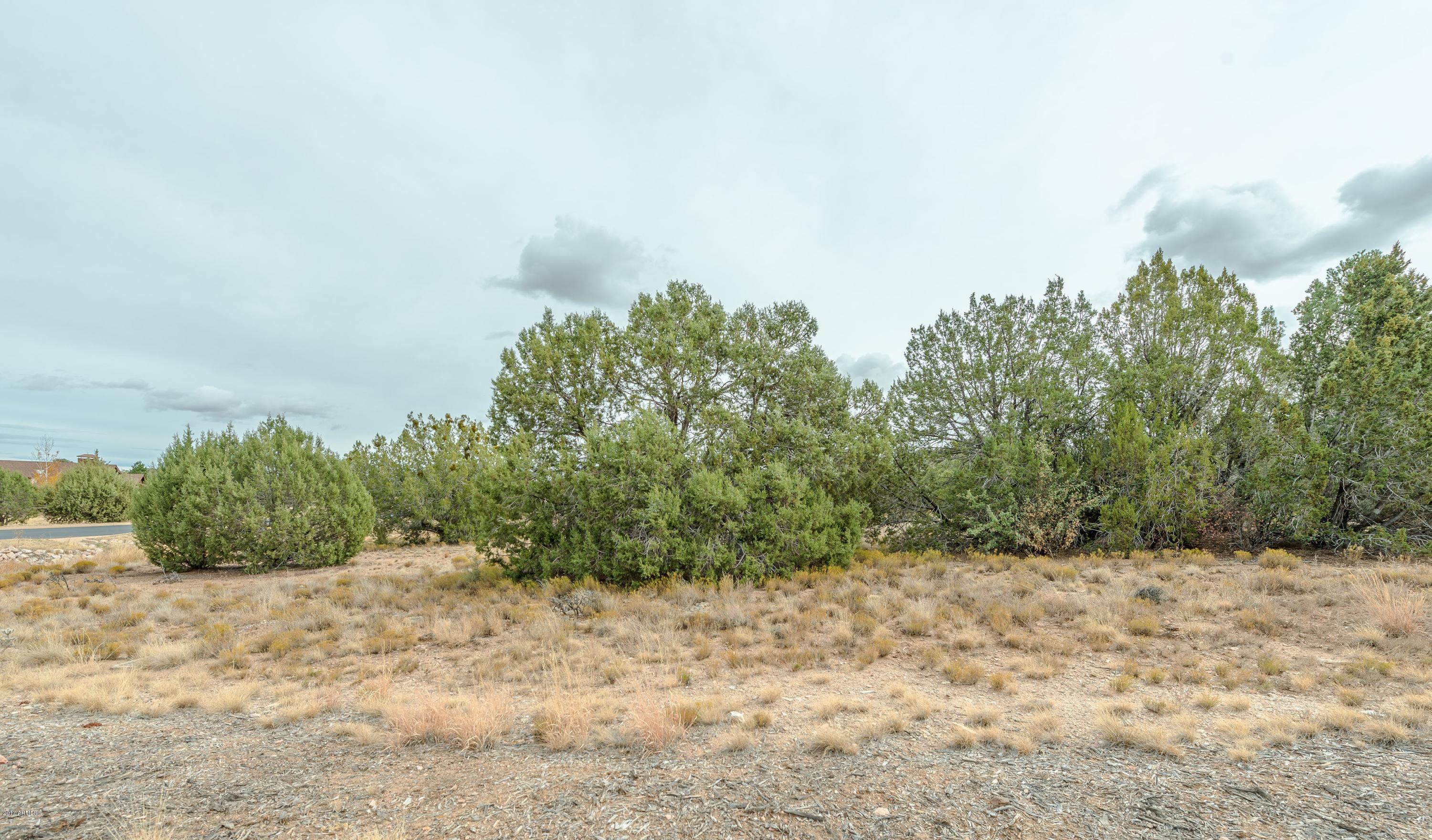 14585 North Double Adobe Road, Unit 64 Prescott, AZ 86305 - Photo 13 of 14 013_West looking East