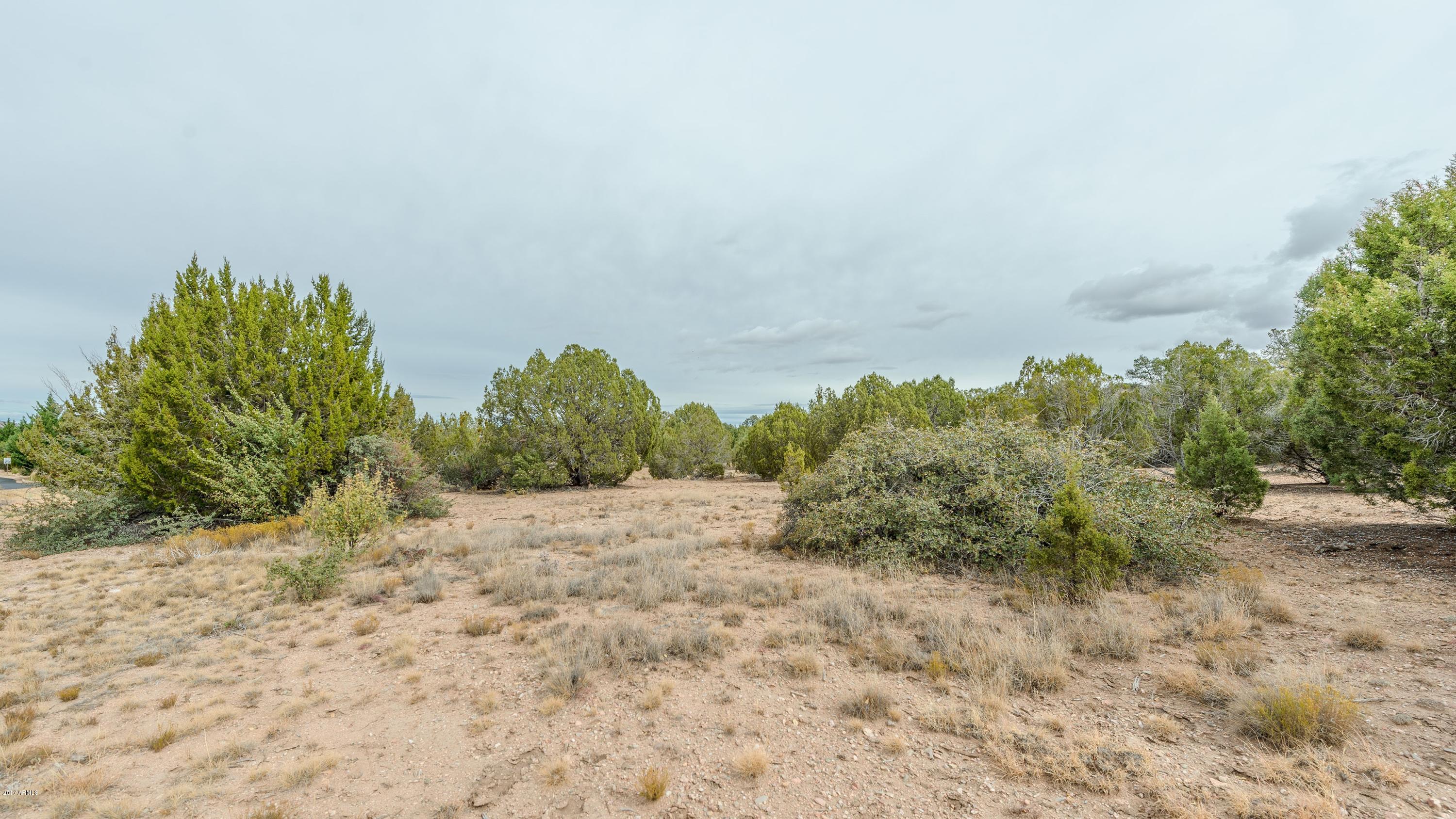 14585 North Double Adobe Road, Unit 64 Prescott, AZ 86305 - Photo 3 of 14 003_Southwest Corner