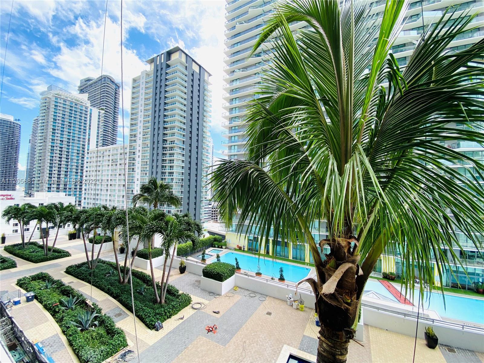 60 Southwest 13th Street, Unit 1412 Miami, FL 33130 - Photo 30 of 39 a palm tree sitting in front of a building