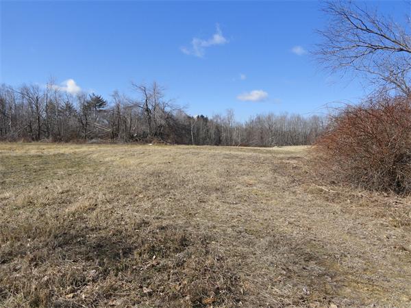 a view of a field with trees in the background