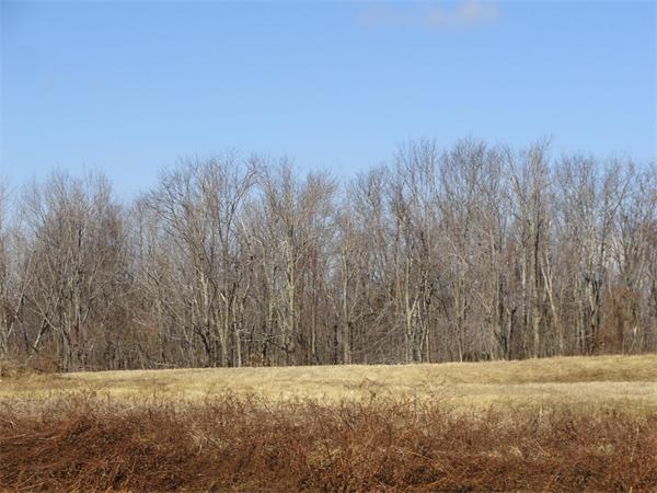 0 Adams Road New Braintree, MA 01531 - Photo 6 of 6 a view of a yard