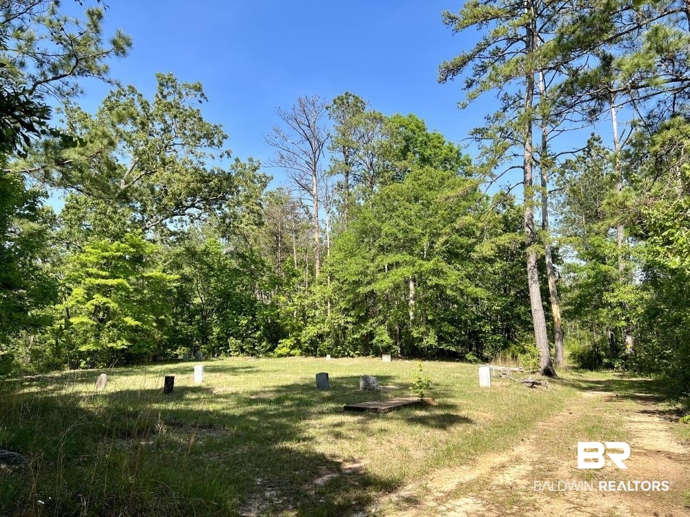 0 Fluker Kiel Road Coffeeville, AL 36524 - Photo 12 of 34
