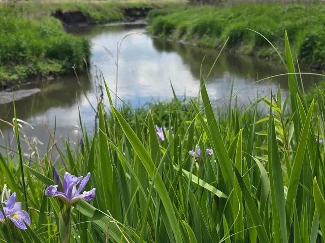 $415,000 | 39 Highway 39, Hollandale, WI 53544