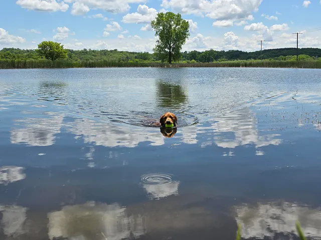 $415,000 | 39 Highway 39, Hollandale, WI 53544