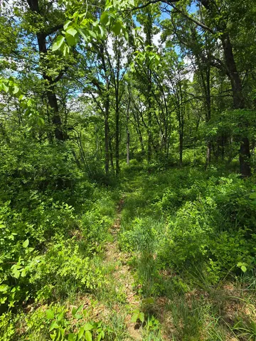 $415,000 | 39 Highway 39, Hollandale, WI 53544