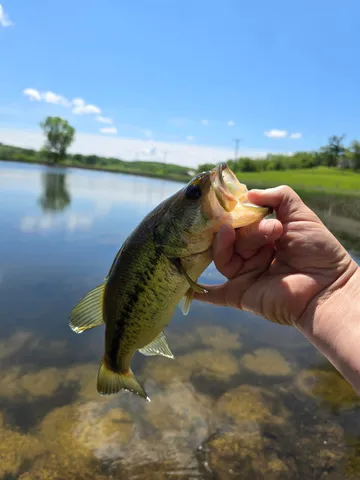 $415,000 | 39 Highway 39, Hollandale, WI 53544