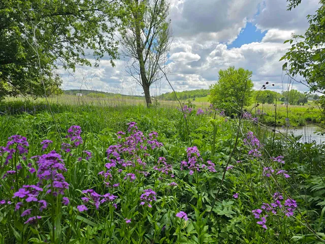 $415,000 | 39 Highway 39, Hollandale, WI 53544