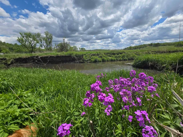 $415,000 | 39 Highway 39, Hollandale, WI 53544