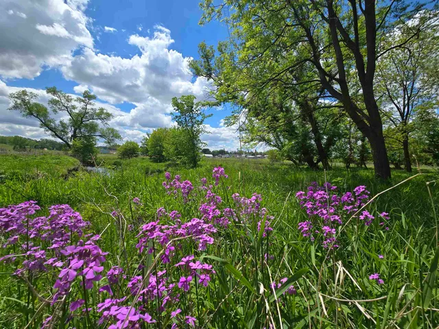 $415,000 | 39 Highway 39, Hollandale, WI 53544