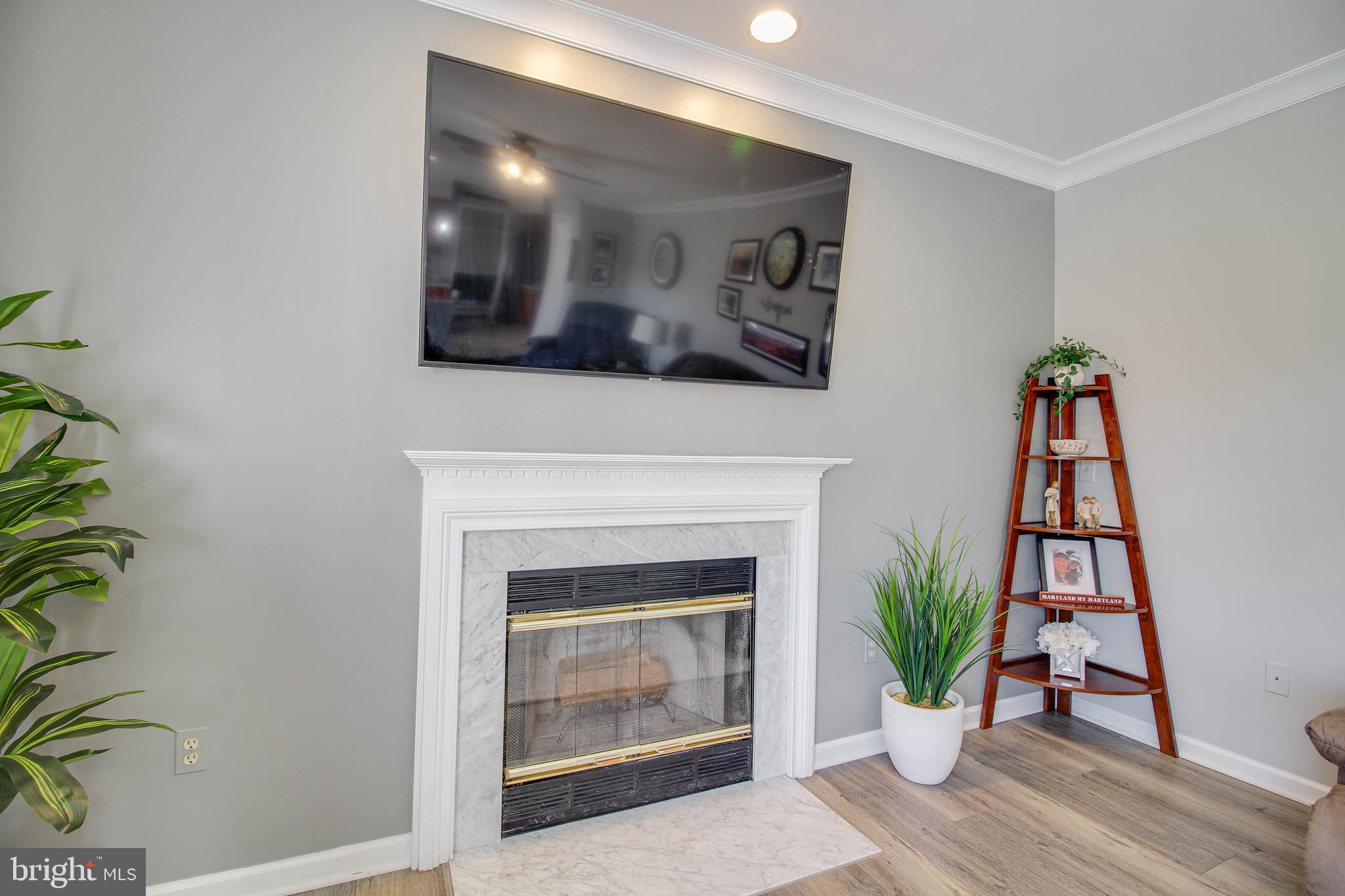 2989 Wheatfield Road Finksburg, MD 21048 - Photo 11 of 54 Family room with fireplace