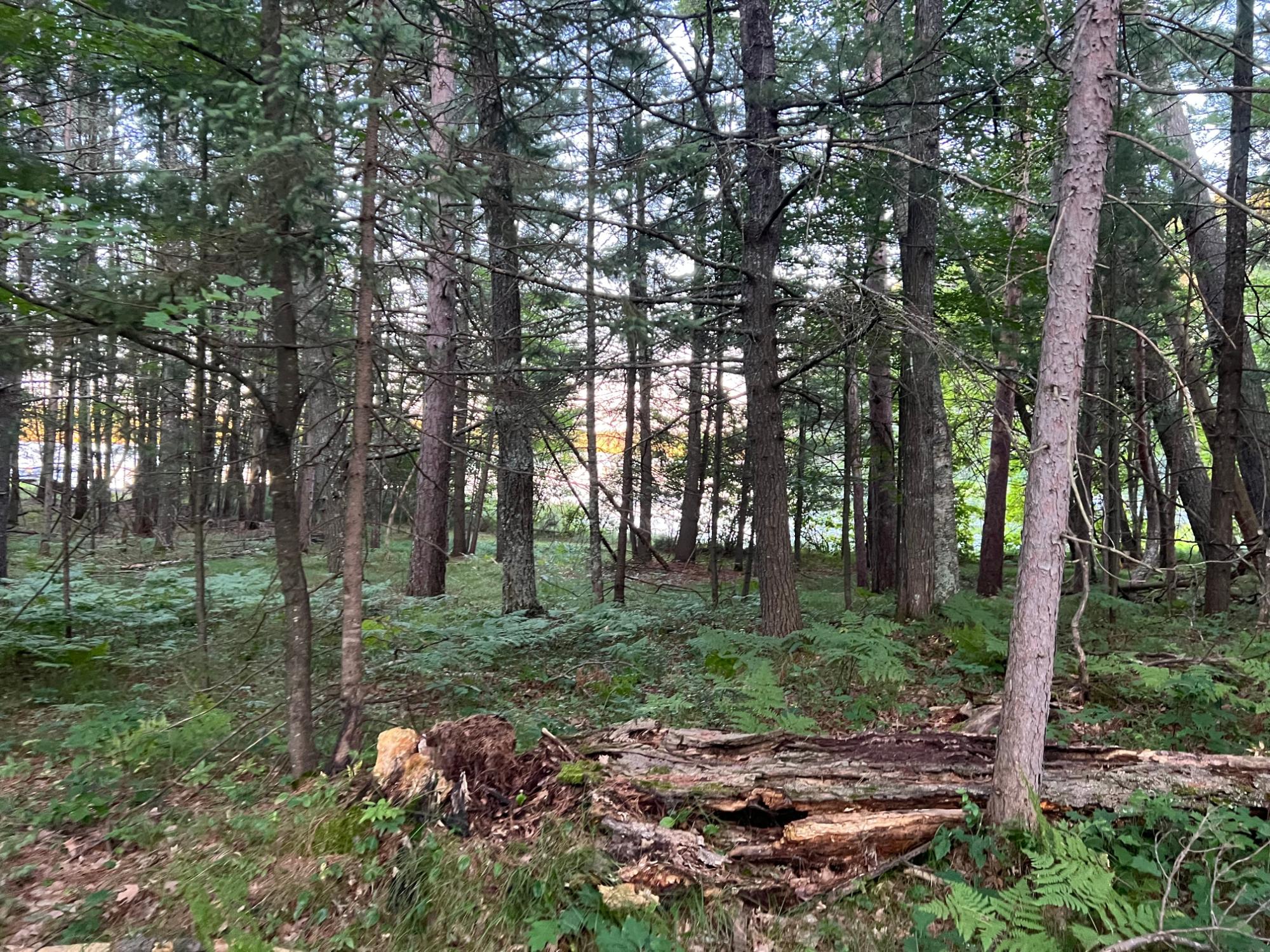 Lt 9-off North Hunter Lake Road Conover, WI 54519 - Photo 23 of 32 Gallery Image 23