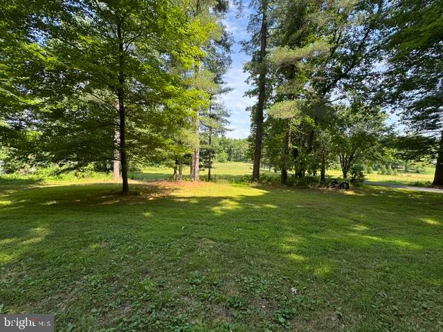 Mccauley Road Conowingo, MD 21918 - Photo 2 of 4 Another view showing trees across the front