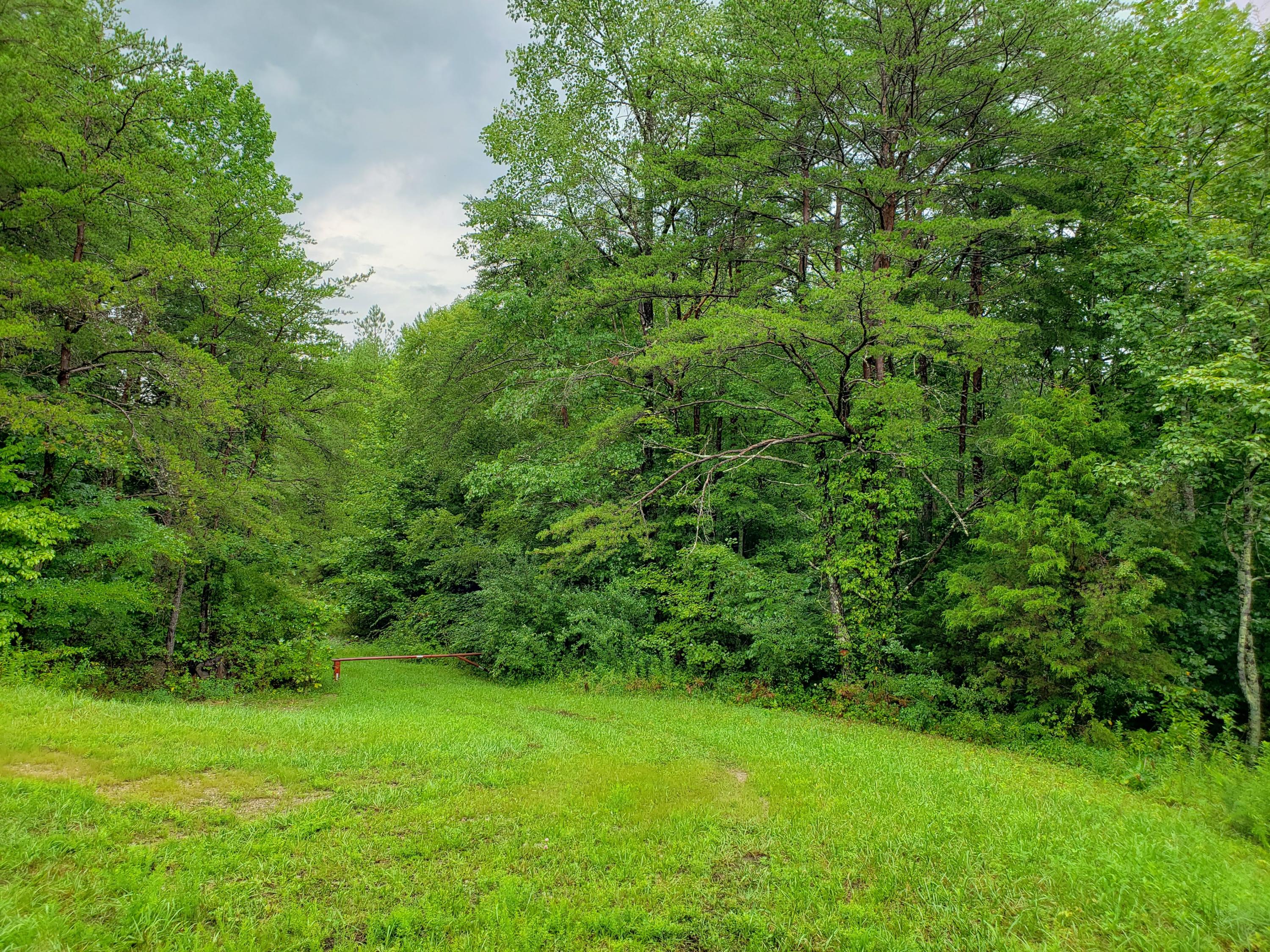 Herb Mooneyham Road Spencer, TN 38585 - Photo 8 of 8 20200731_172626
