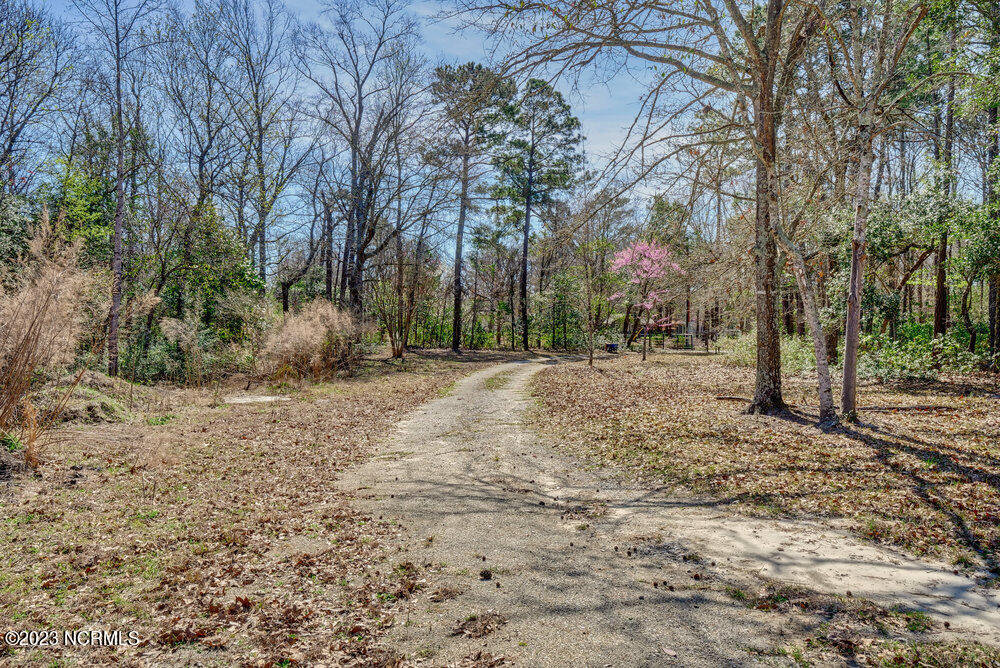 107 Marsh Creek Drive Hampstead, NC 28443 - Photo 20 of 32 005_p1088727_28_29_30_31_32_33