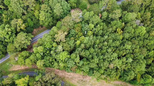 a backyard of a house with lots of trees