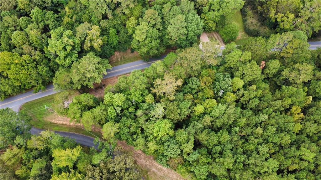 0 Hutchings Mountain Road Rockmart, GA 30153 - Photo 6 of 7 a plant that is in a garden