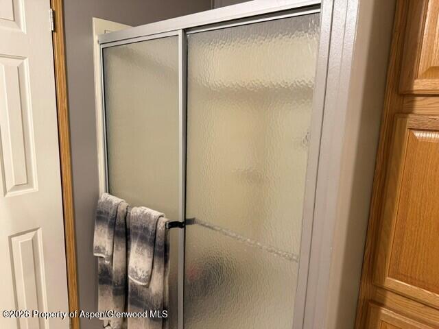 101 Emma Road, Unit 45 Basalt, CO 81621 - Photo 13 of 17 Primary Bathroom Shower