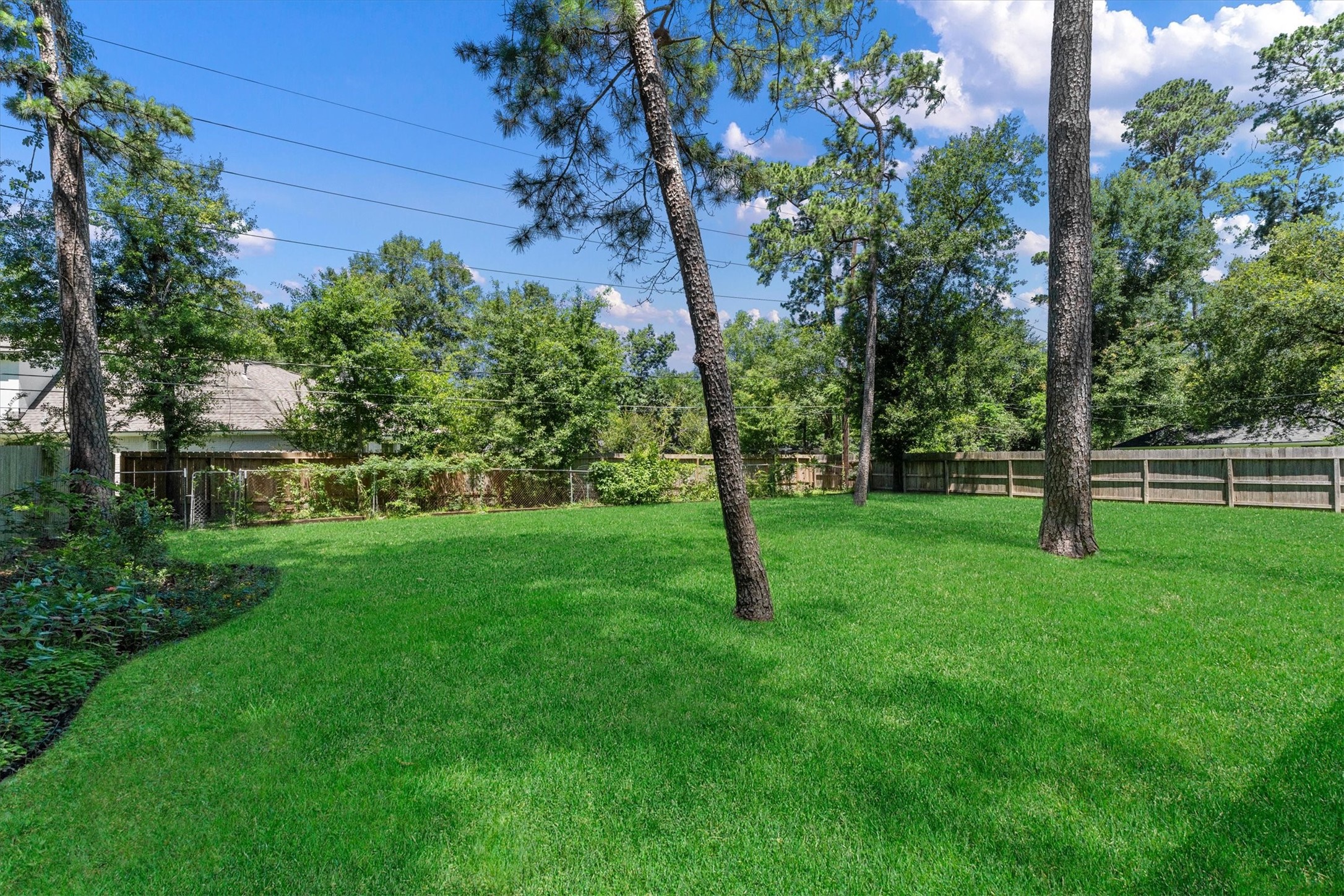 6530 Bayonne Drive Spring, TX 77389 - Photo 9 of 37 a view of a yard with a tree