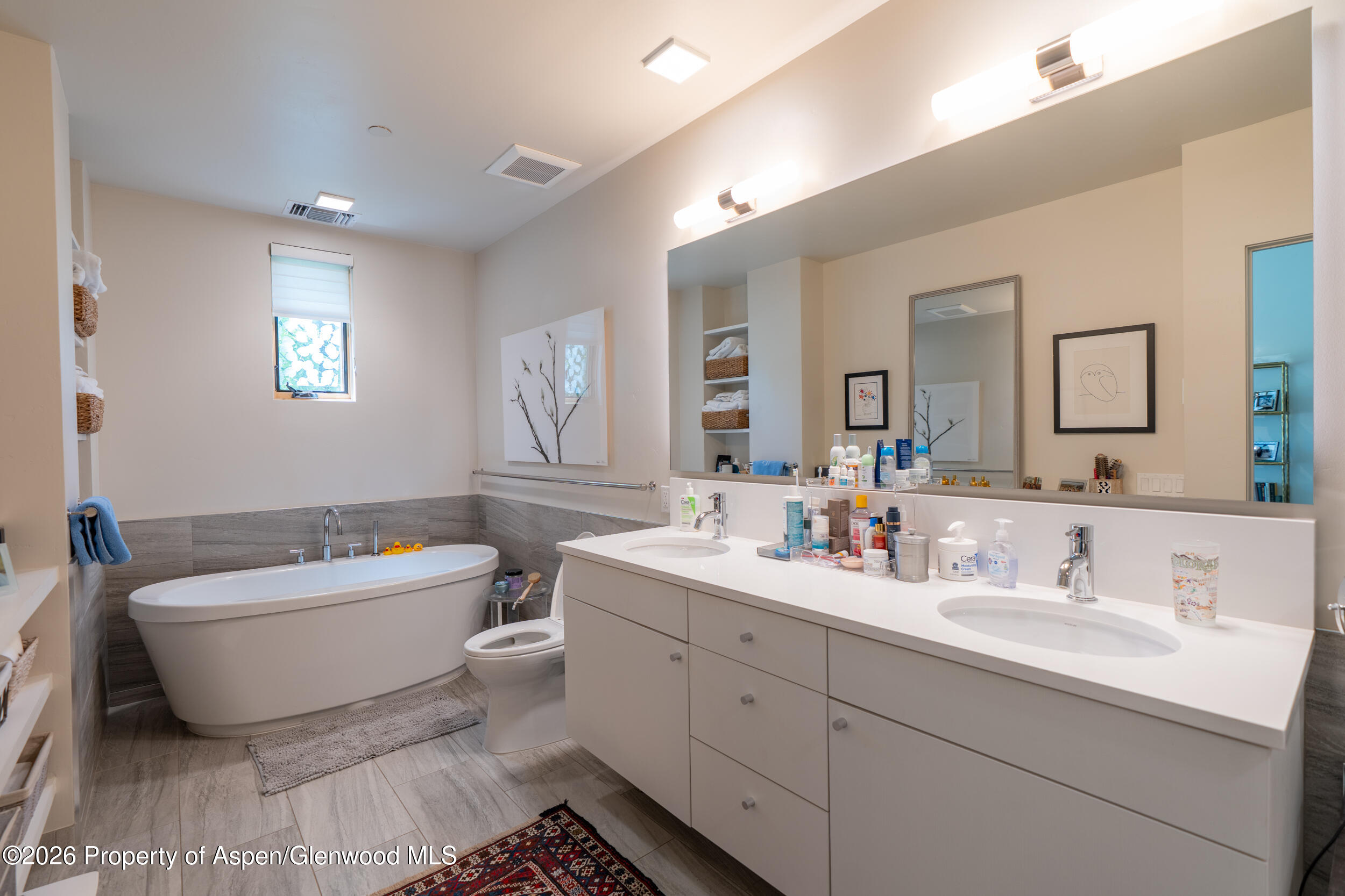 102 Evans Road, Unit 101 Basalt, CO 81621 - Photo 8 of 15 primary bathroom