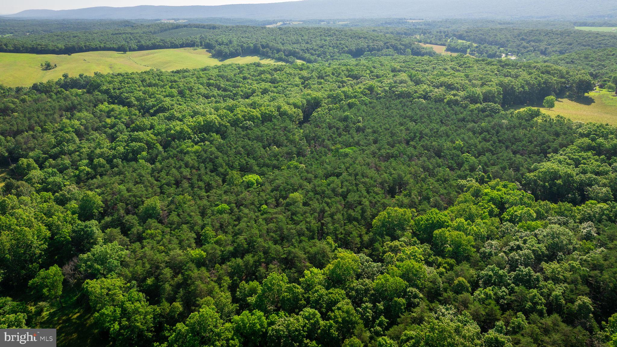 14.5 Ac Pcl A- Off Virginia Line Road Berkeley Springs, WV 25411 - Photo 11 of 14 Gallery Image 11