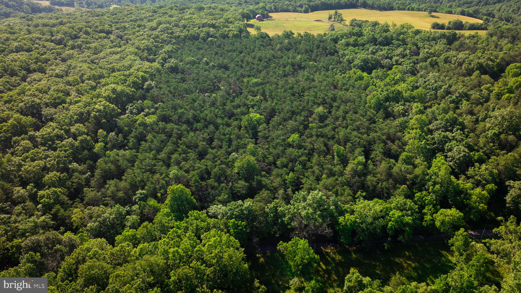 14.5 Ac Pcl A- Off Virginia Line Road Berkeley Springs, WV 25411 - Photo 6 of 14 Gallery Image 6
