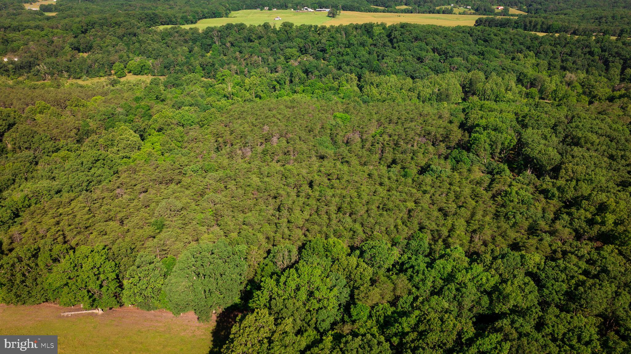 14.5 Ac Pcl A- Off Virginia Line Road Berkeley Springs, WV 25411 - Photo 7 of 14 Gallery Image 7