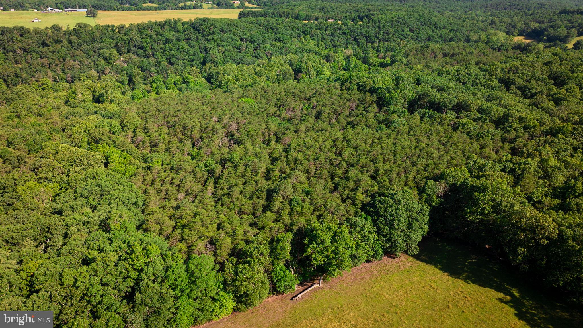 14.5 Ac Pcl A- Off Virginia Line Road Berkeley Springs, WV 25411 - Photo 8 of 14 Gallery Image 8