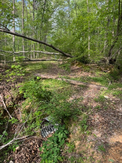 455 Moss Spring Hollow Road Centerville, TN 37033 - Photo 5 of 13 a view of a field