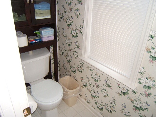 281 Eagle Ridge Roanoke, VA 24012 - Photo 10 of 24 Master Bath