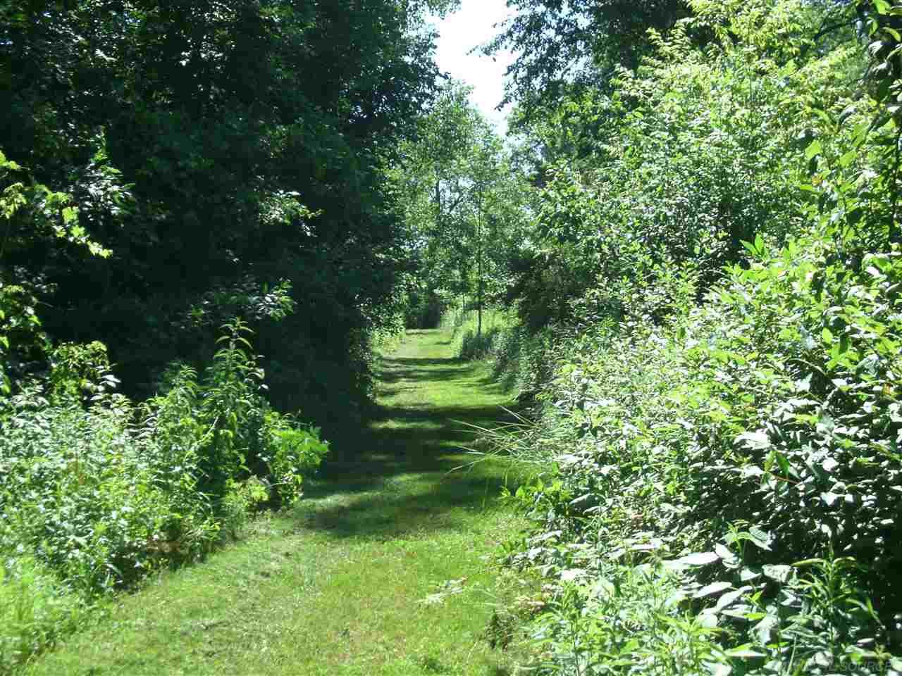 0 North Wilder Road Lapeer, MI 48446 - Photo 10 of 12