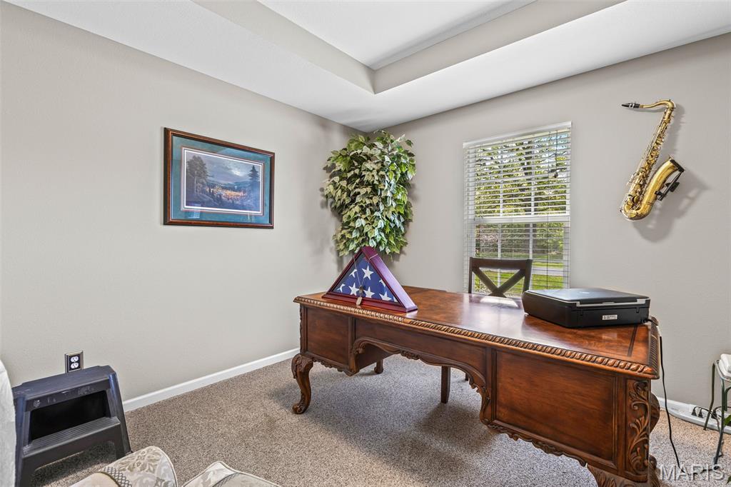 13104 Waggoner Road Festus, MO 63028 - Photo 35 of 62