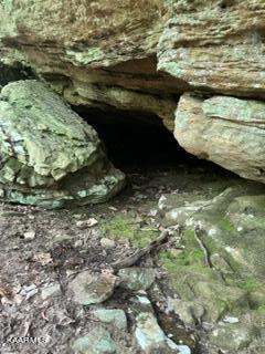 Big Piney Loop Wilder, TN 38589 - Photo 3 of 10 Cave 2