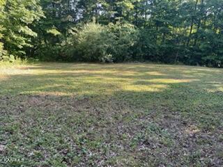 Big Piney Loop Wilder, TN 38589 - Photo 4 of 10 Clearing 1