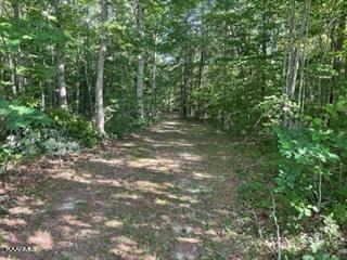 Big Piney Loop Wilder, TN 38589 - Photo 5 of 10 Driveway looking towards property