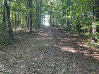 Big Piney Loop Wilder, TN 38589 - Photo 6 of 10 Driveway looking towards road