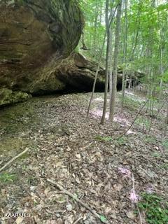 Big Piney Loop Wilder, TN 38589 - Photo 7 of 10 Rock 1