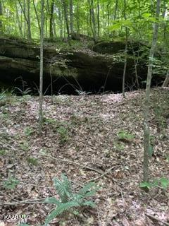 Big Piney Loop Wilder, TN 38589 - Photo 8 of 10 Rock 2