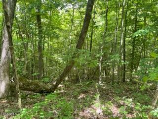 Big Piney Loop Wilder, TN 38589 - Photo 9 of 10 Woods 1