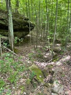 Big Piney Loop Wilder, TN 38589 - Photo 10 of 10 Woods 2