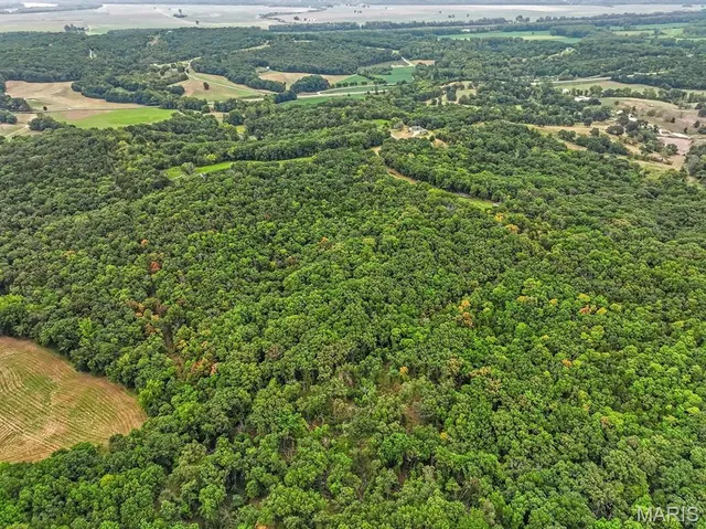 $1,480,000 | 3705 Widgeon Wood Way, Jefferson City, MO 65109