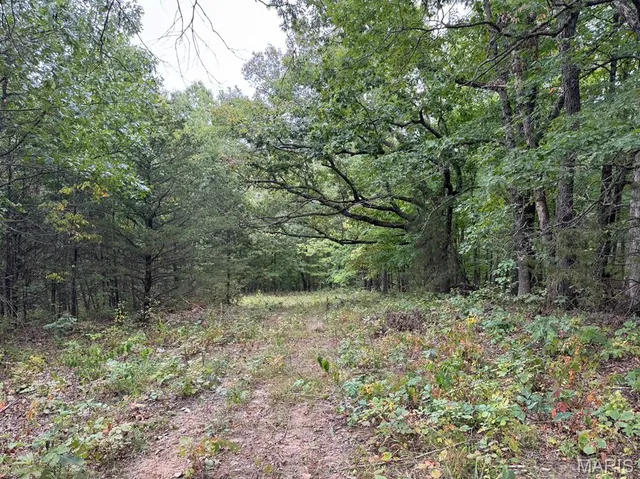 $1,480,000 | 3705 Widgeon Wood Way, Jefferson City, MO 65109