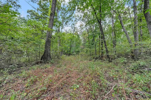 $1,480,000 | 3705 Widgeon Wood Way, Jefferson City, MO 65109